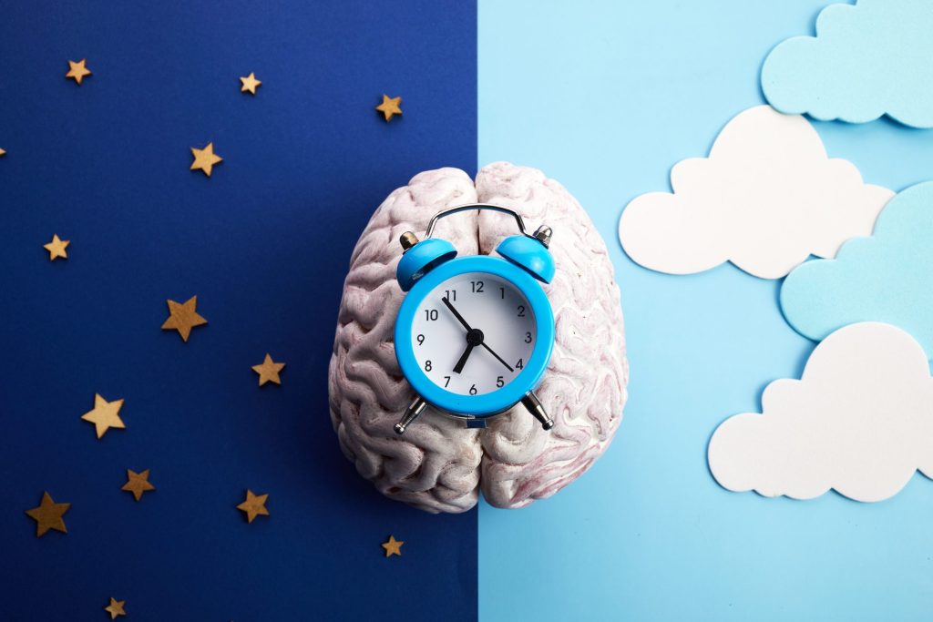 The internal body clock - REAL IELTS